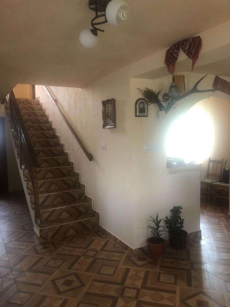 Cabana Georgiana Maria Ghetari Εξωτερικό φωτογραφία
